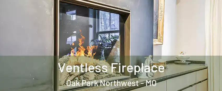 Ventless Fireplace Oak Park Northwest - MO