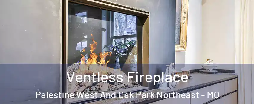 Ventless Fireplace Palestine West And Oak Park Northeast - MO