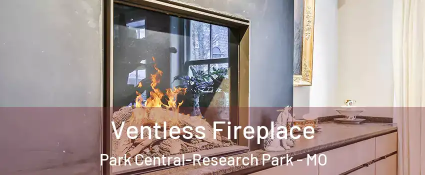 Ventless Fireplace Park Central-Research Park - MO