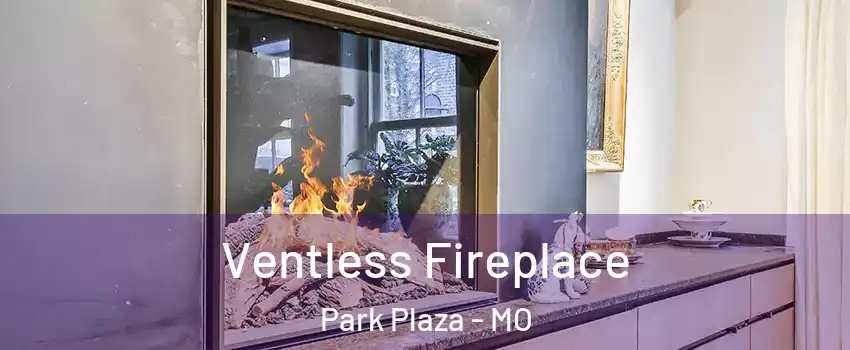 Ventless Fireplace Park Plaza - MO