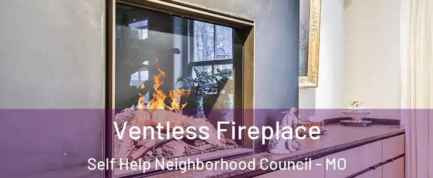 Ventless Fireplace Self Help Neighborhood Council - MO