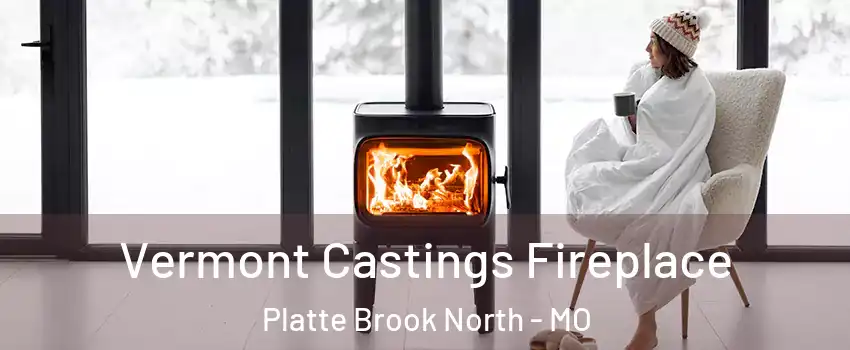 Vermont Castings Fireplace Platte Brook North - MO