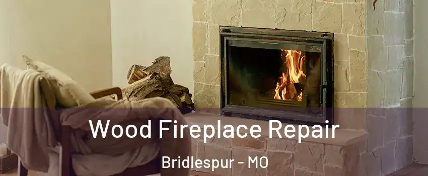 Wood Fireplace Repair Bridlespur - MO