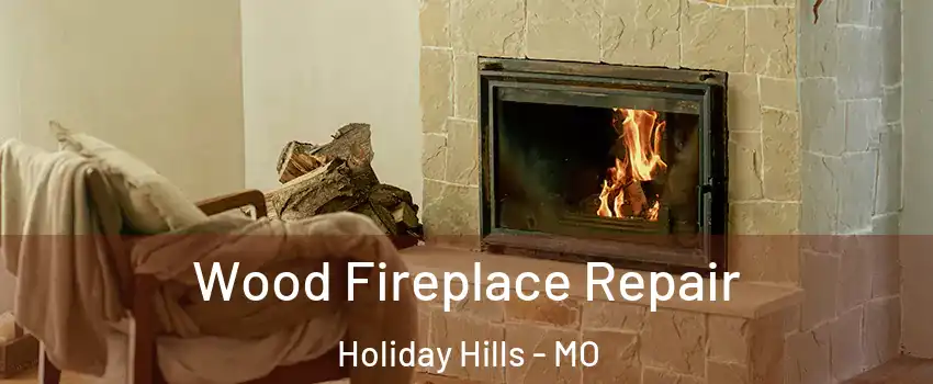 Wood Fireplace Repair Holiday Hills - MO