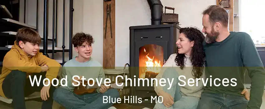 Wood Stove Chimney Services Blue Hills - MO