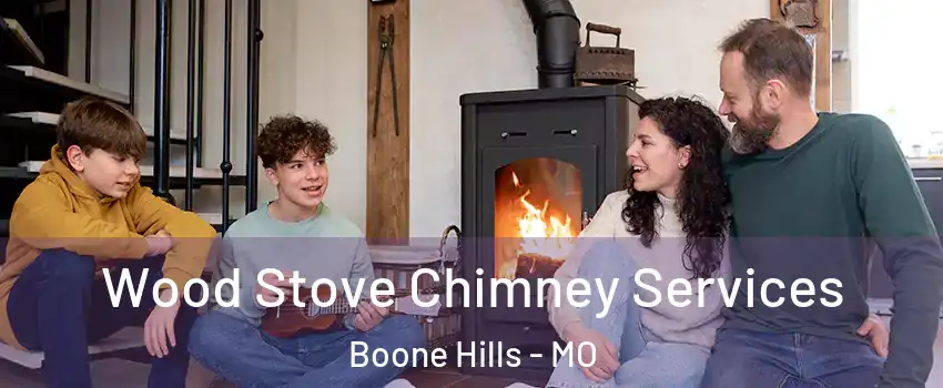 Wood Stove Chimney Services Boone Hills - MO