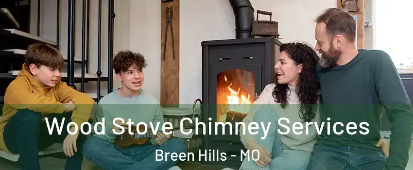 Wood Stove Chimney Services Breen Hills - MO