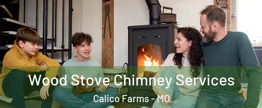 Wood Stove Chimney Services Calico Farms - MO