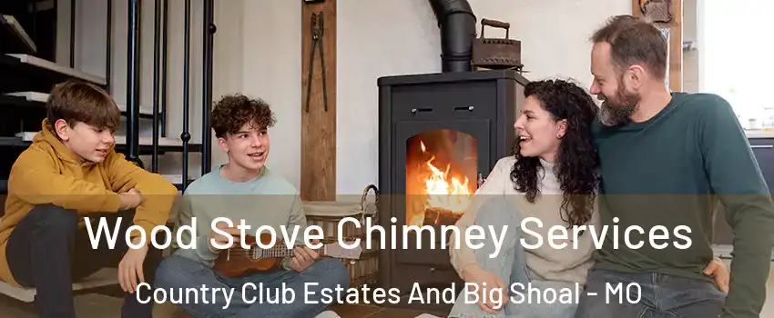 Wood Stove Chimney Services Country Club Estates And Big Shoal - MO