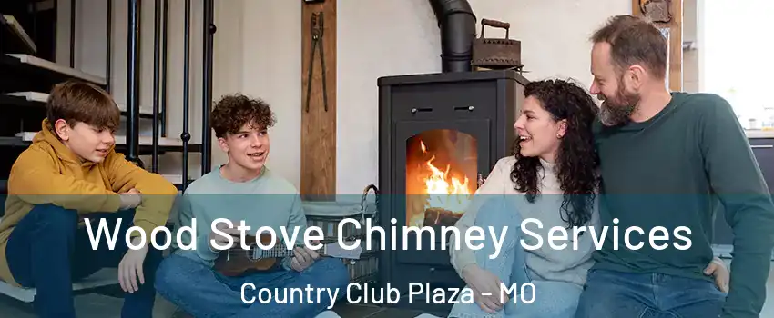 Wood Stove Chimney Services Country Club Plaza - MO