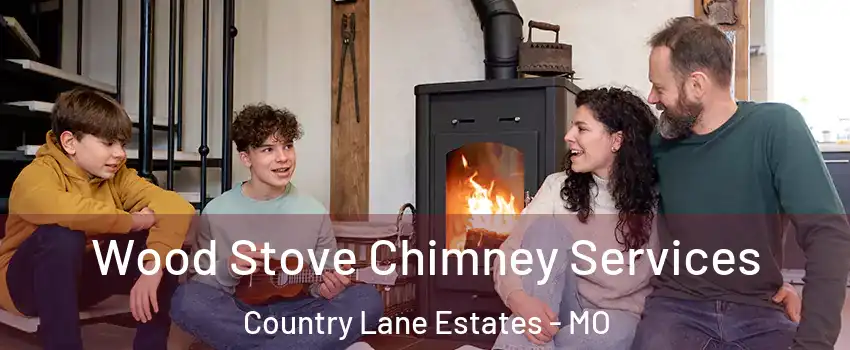 Wood Stove Chimney Services Country Lane Estates - MO