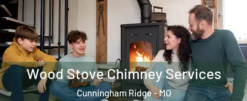 Wood Stove Chimney Services Cunningham Ridge - MO