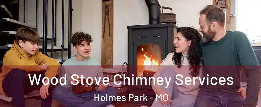 Wood Stove Chimney Services Holmes Park - MO