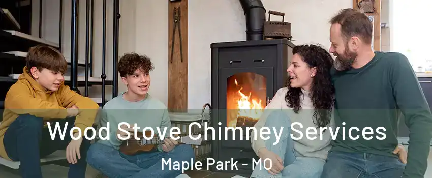 Wood Stove Chimney Services Maple Park - MO