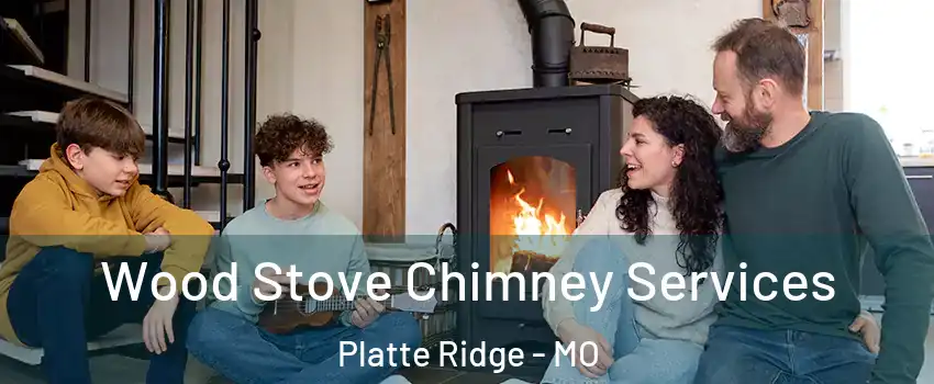 Wood Stove Chimney Services Platte Ridge - MO