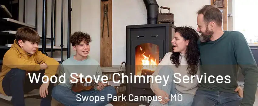 Wood Stove Chimney Services Swope Park Campus - MO