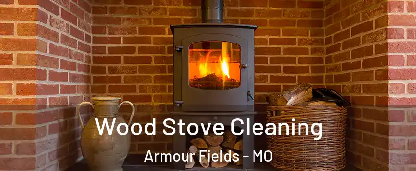 Wood Stove Cleaning Armour Fields - MO