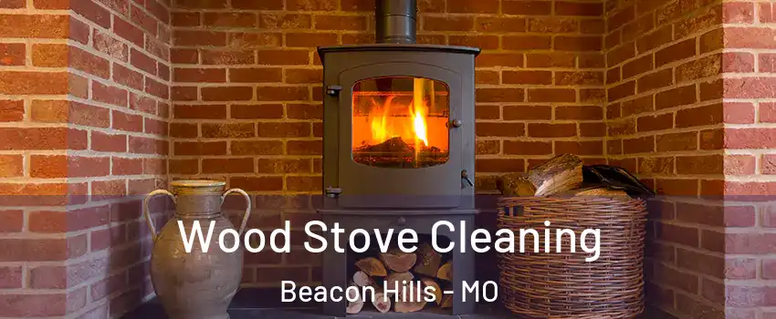 Wood Stove Cleaning Beacon Hills - MO