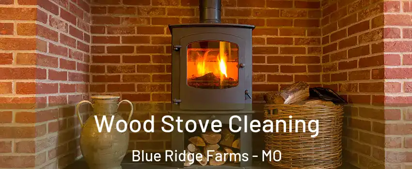 Wood Stove Cleaning Blue Ridge Farms - MO