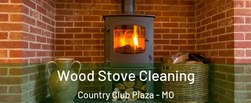 Wood Stove Cleaning Country Club Plaza - MO