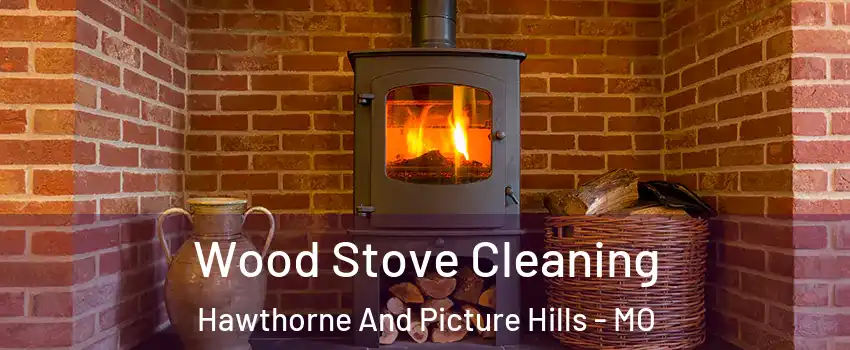 Wood Stove Cleaning Hawthorne And Picture Hills - MO