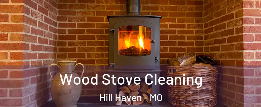 Wood Stove Cleaning Hill Haven - MO