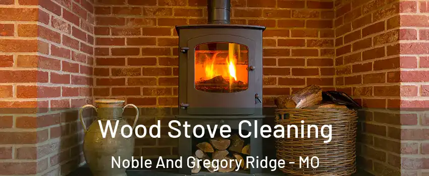 Wood Stove Cleaning Noble And Gregory Ridge - MO