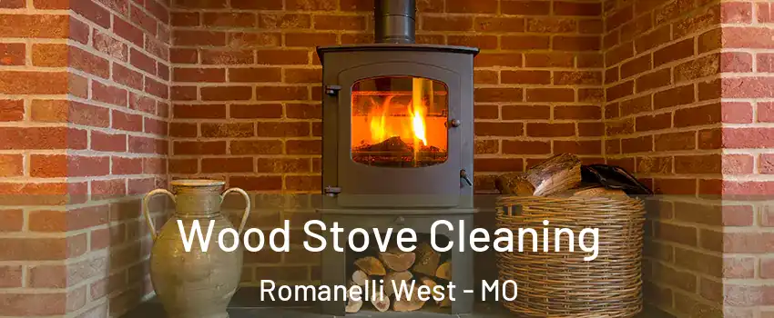 Wood Stove Cleaning Romanelli West - MO