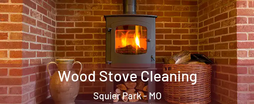 Wood Stove Cleaning Squier Park - MO