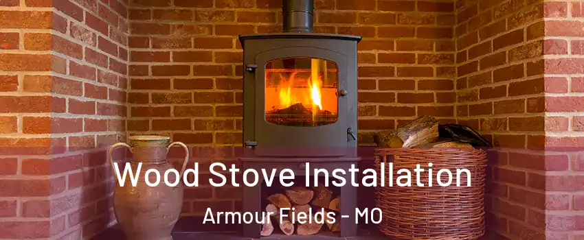 Wood Stove Installation Armour Fields - MO