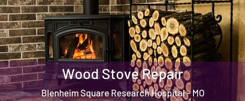 Wood Stove Repair Blenheim Square Research Hospital - MO