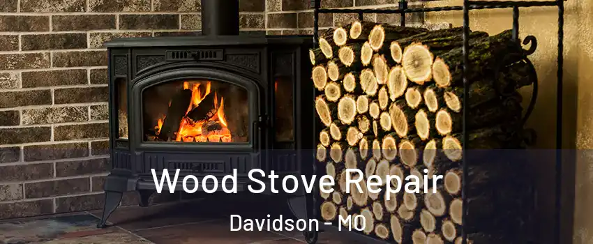 Wood Stove Repair Davidson - MO